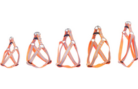 Harnas Step&Go Fierro Fluo oranje