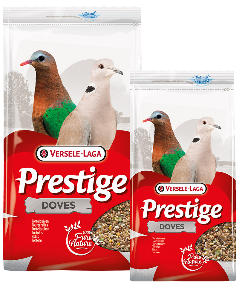 Prestige Tortelduiven