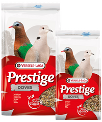 Prestige Tortelduiven