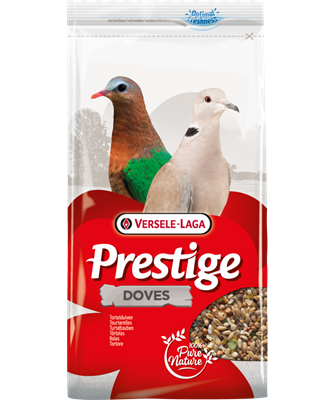 Prestige Tortelduiven