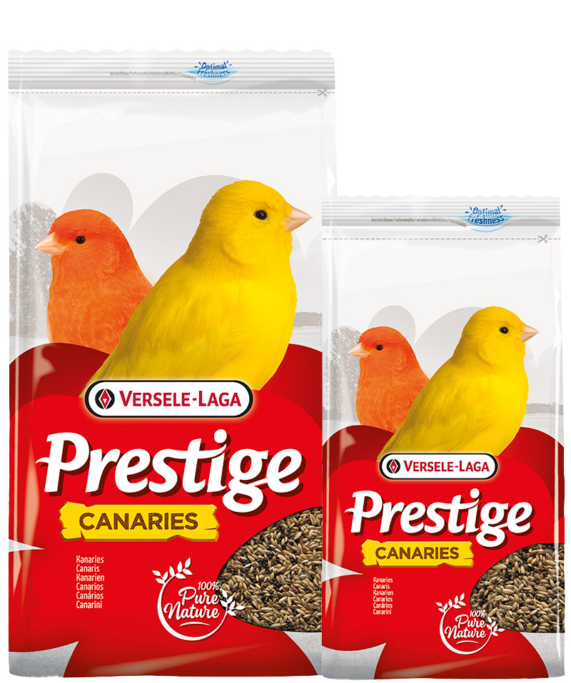 Prestige Kanaries Zadenmengeling