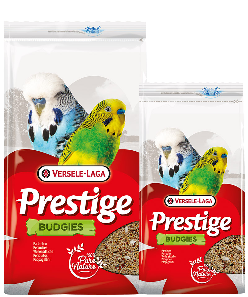 Prestige Parkieten