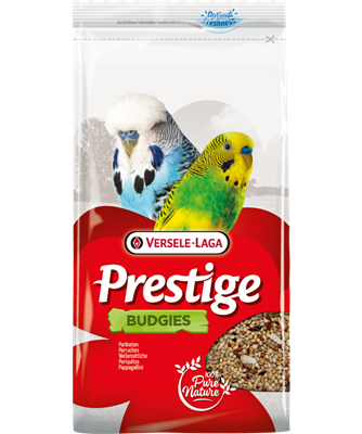 Prestige Parkieten