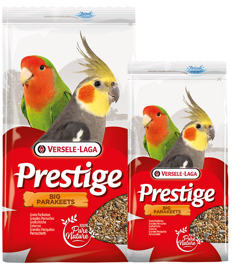 Prestige Grote Parkieten