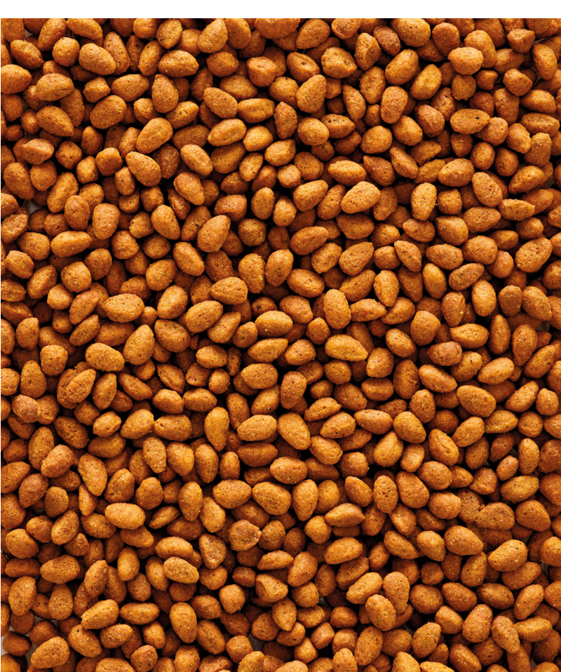 NurtiBird G14 Original 1kg 