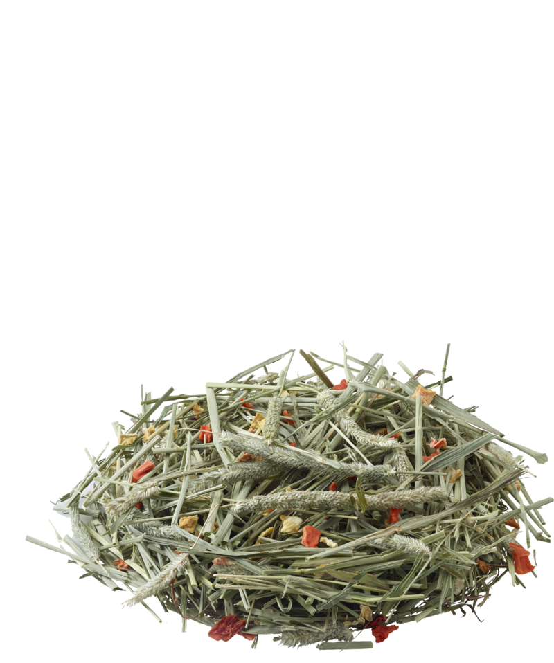 Nature Timothy Hay Carrot &amp; Pumpkin