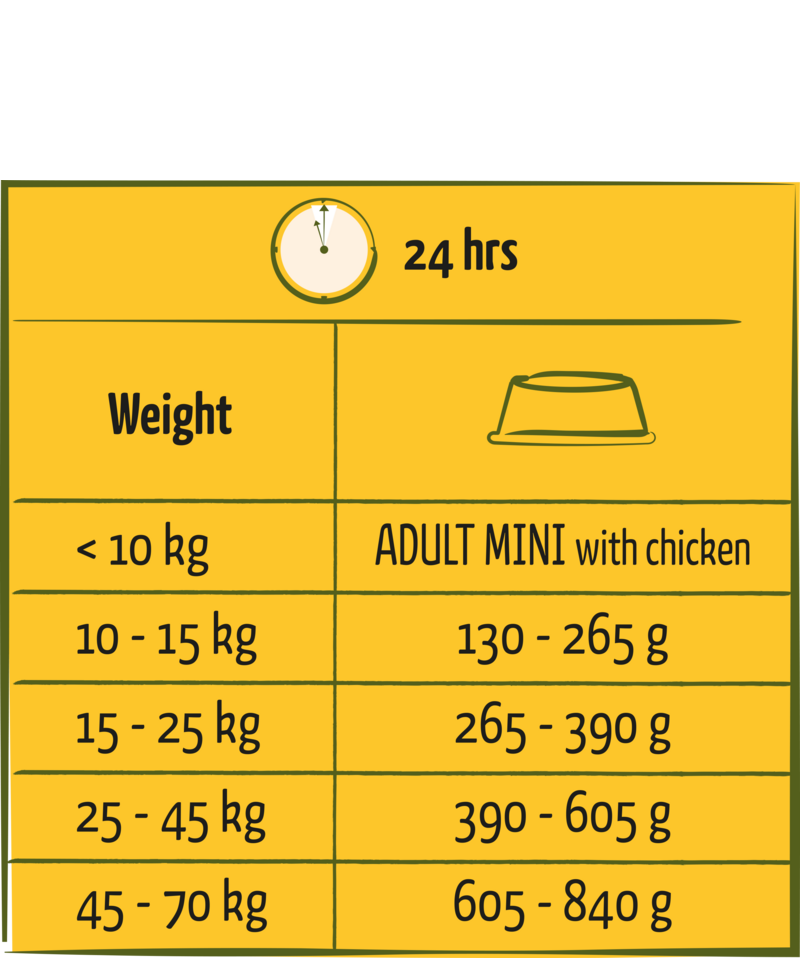 Happy Life Adult with Chicken