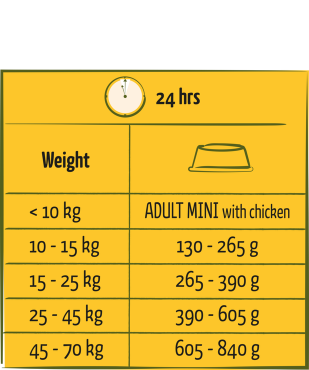 Happy Life Adult with Chicken