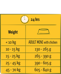 Happy Life Adult with Chicken