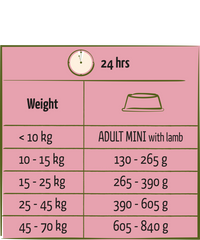 Happy Life Adult met Lam