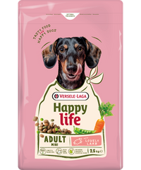 Happy Life Adult with Lamb