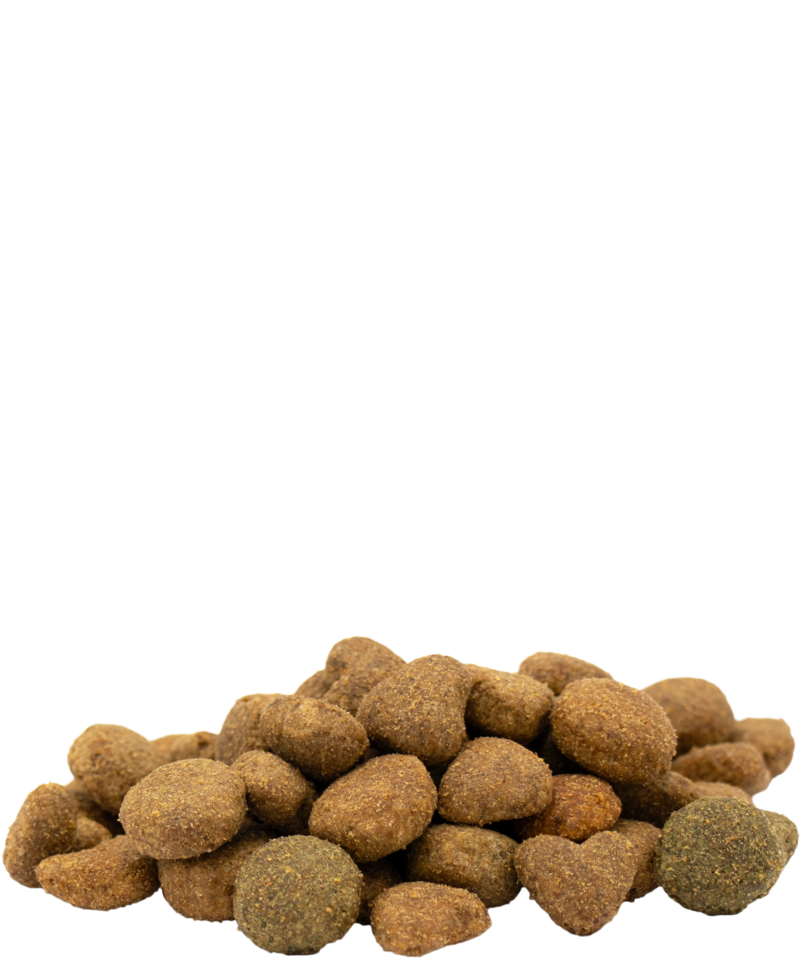 Happy Life adult Zalm PROMO 12.5+2.5kg