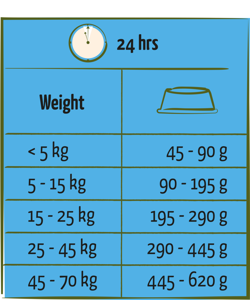 Happy Life Adult Light met Kip