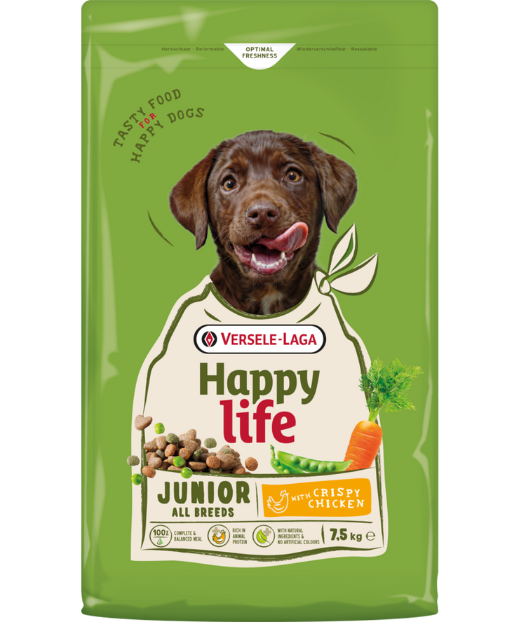 Happy life Junior with Chicken 