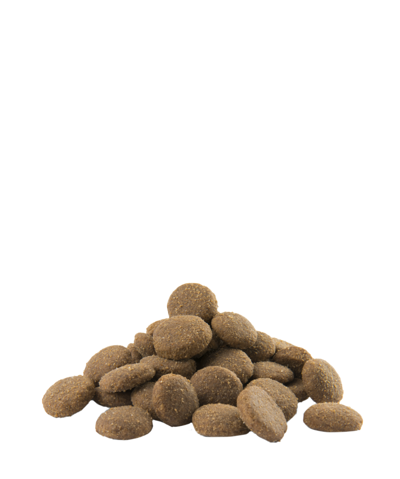 Opti-Life Adult Maxi