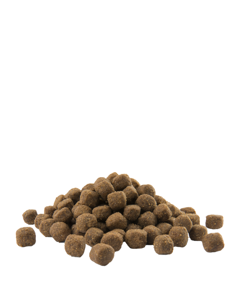 Opti-Life Adult Medium