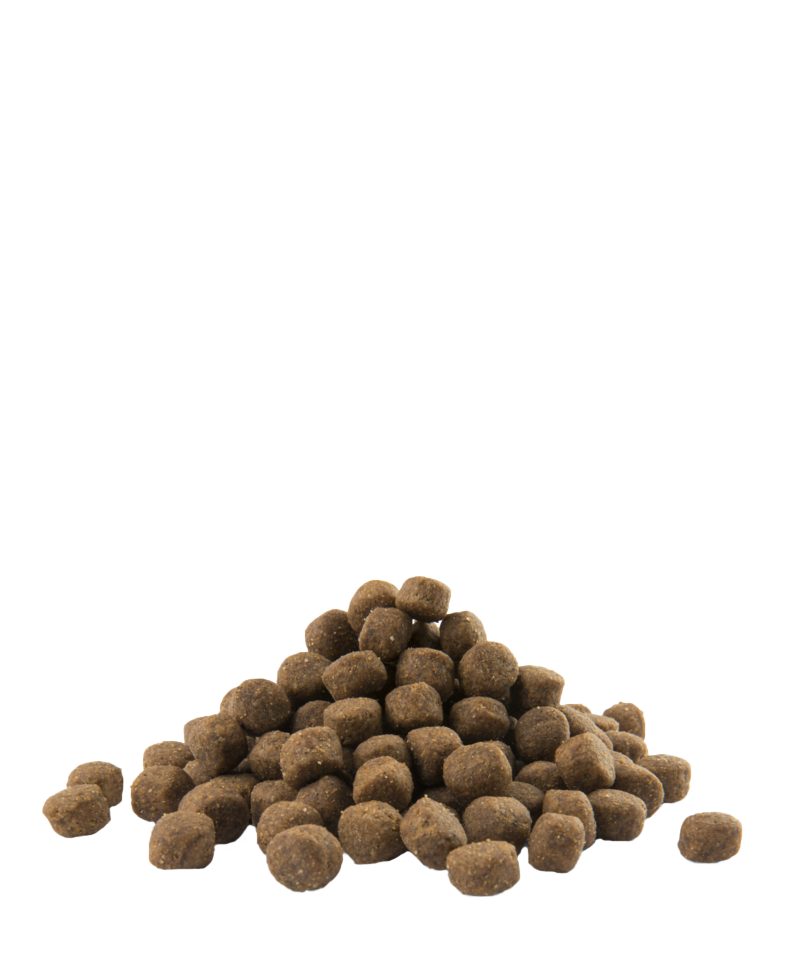 Opti Life Puppy Maxi 12,5 kg