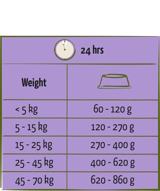 Happy Life Senior / Light with chicken 15kg