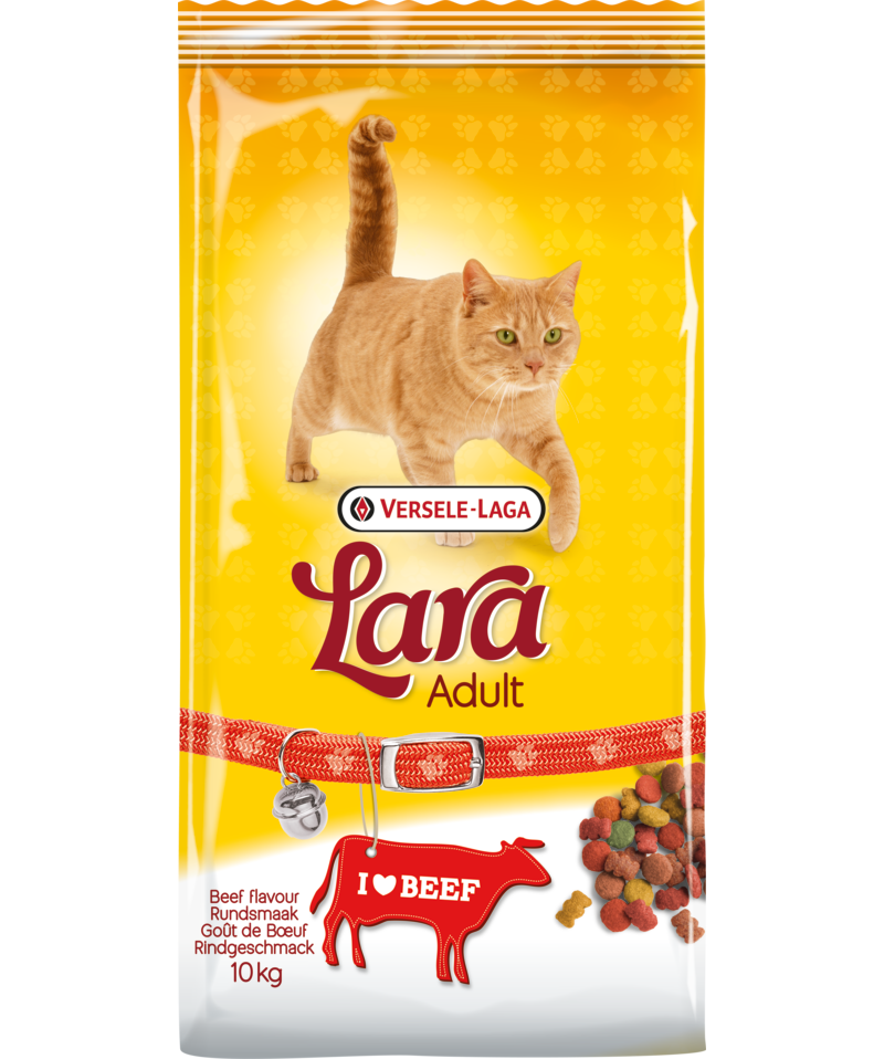 Lara Adult Beef Flavour