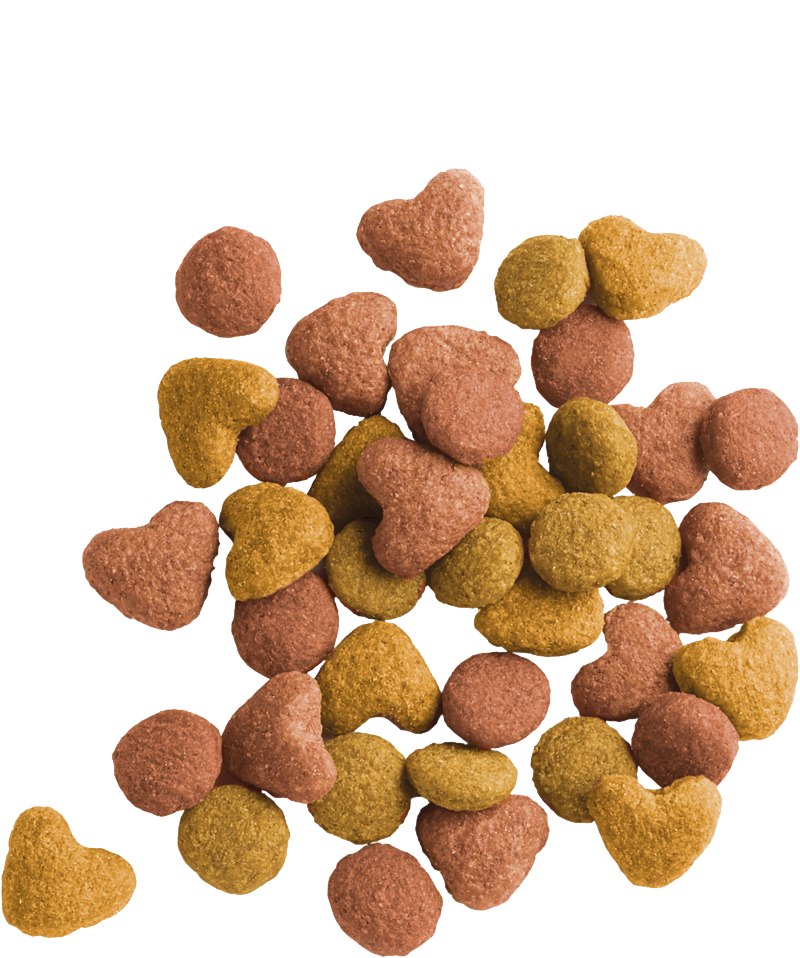 Lara Adulte Senior 2kg 