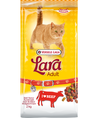 Lara Adult Beef Flavour