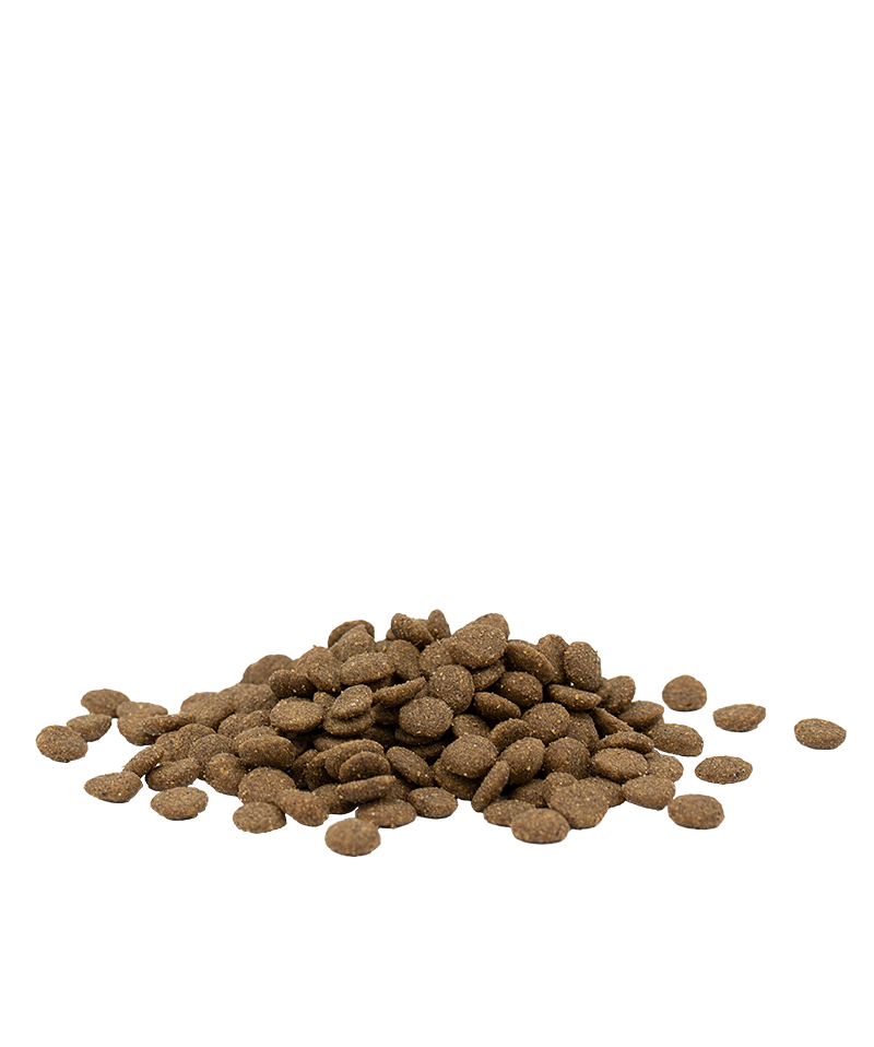 Opti Life Adult Urinary Chicken