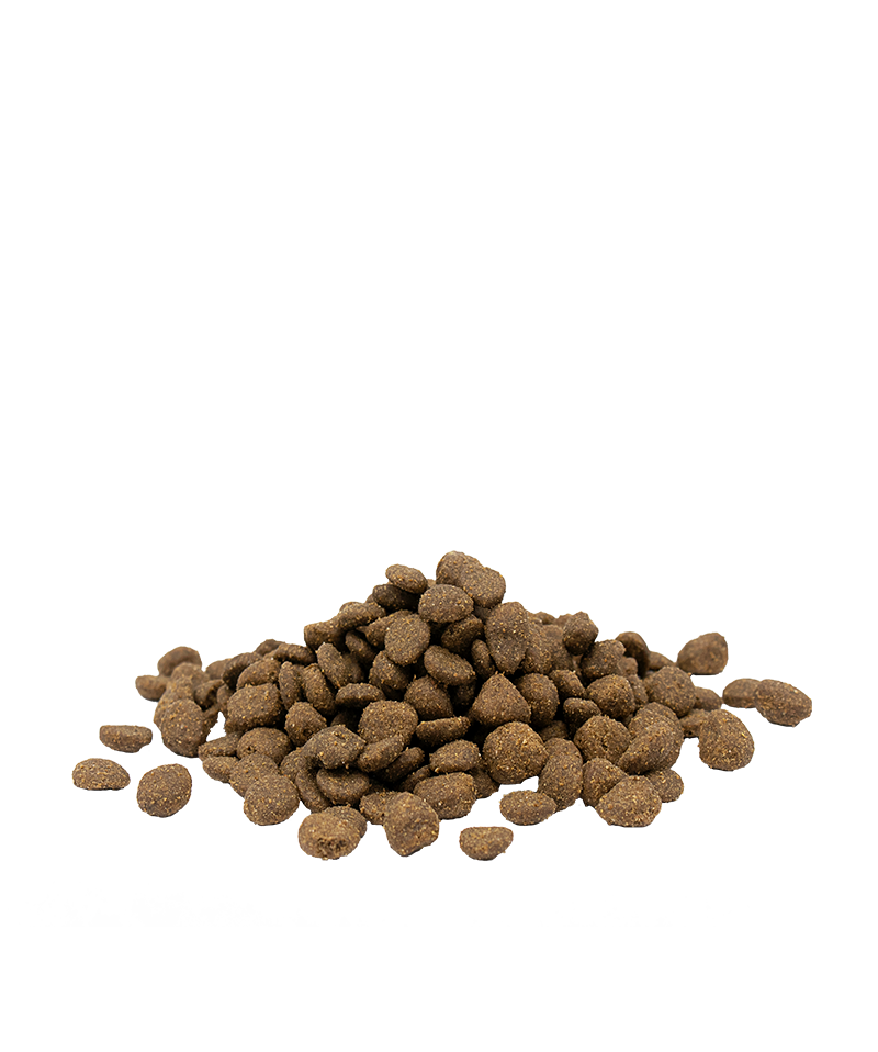 Opti Life Adult Sensitive Salmon