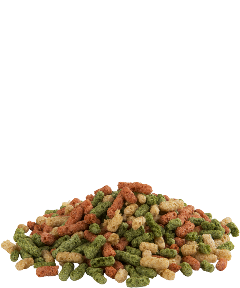 Sticks Multi Colour 5kg