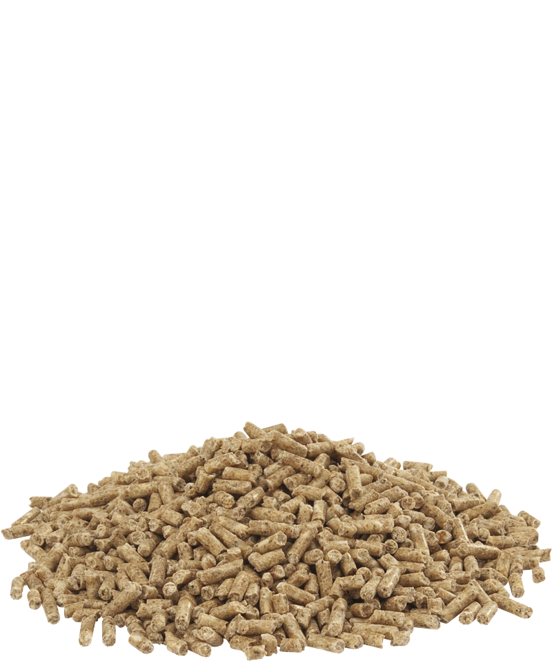 Country's Best SHOW 4 pellet voor fazanten, patrijzen, parelhoenen, kwartels en sierhoenders 20kg