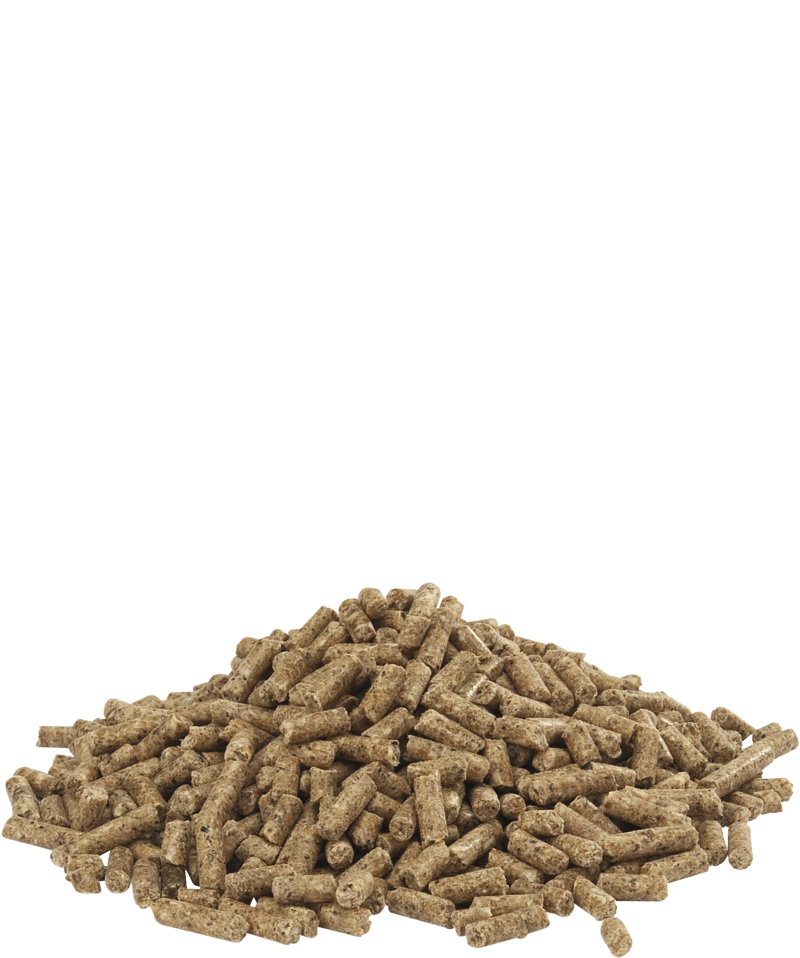 Country's Best CRANE 3&4 pellet voor kraanvogels 20kg