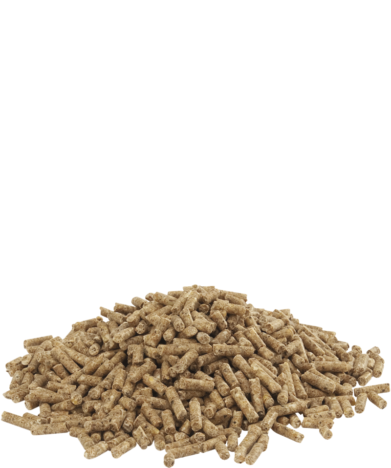Country's Best DUCK 3 pellet 2 mm onderhoudskorrel voor watervogels