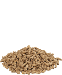 Country's Best GOLD 4 GALLICO pellet standaard legkorrel 20kg
