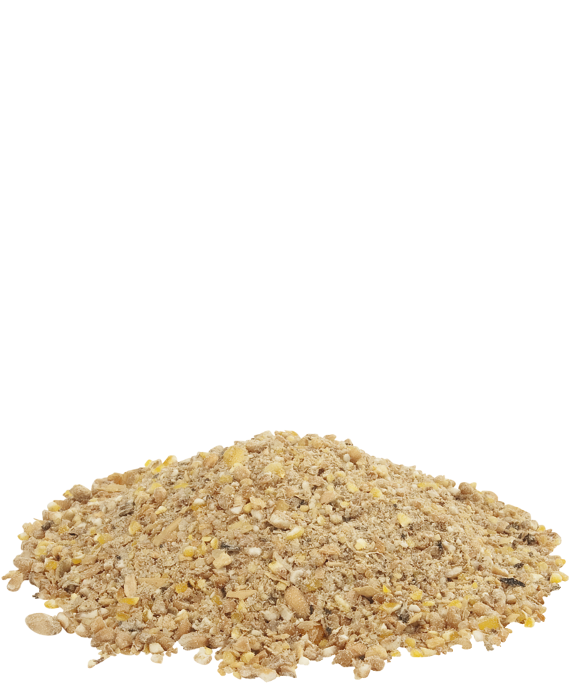 Country's Best GOLD 1&2 mash kuikenmeel 5kg