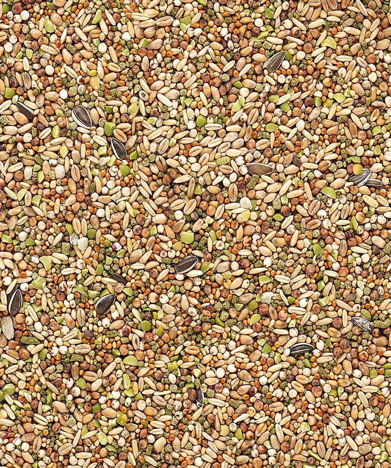 MÉLANGE POUR JARDIN À COLLATION 1kg 