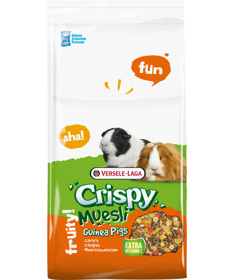 Crispy Muesli - Guinea Pigs