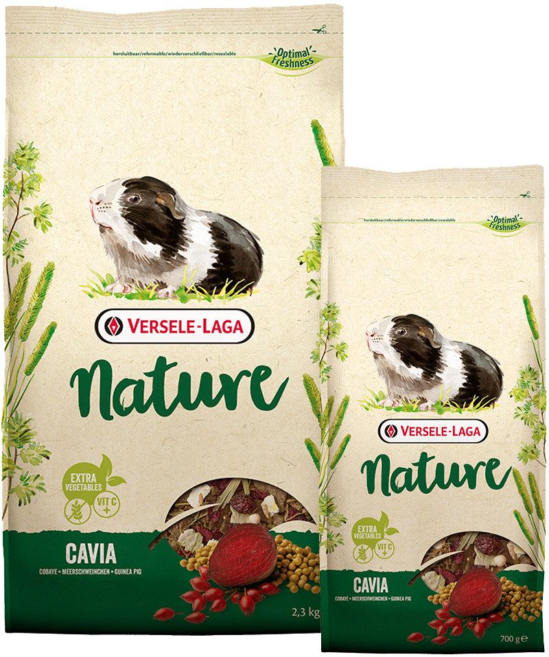 Nature Cavia