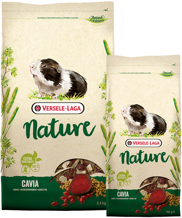 Nature Cavia