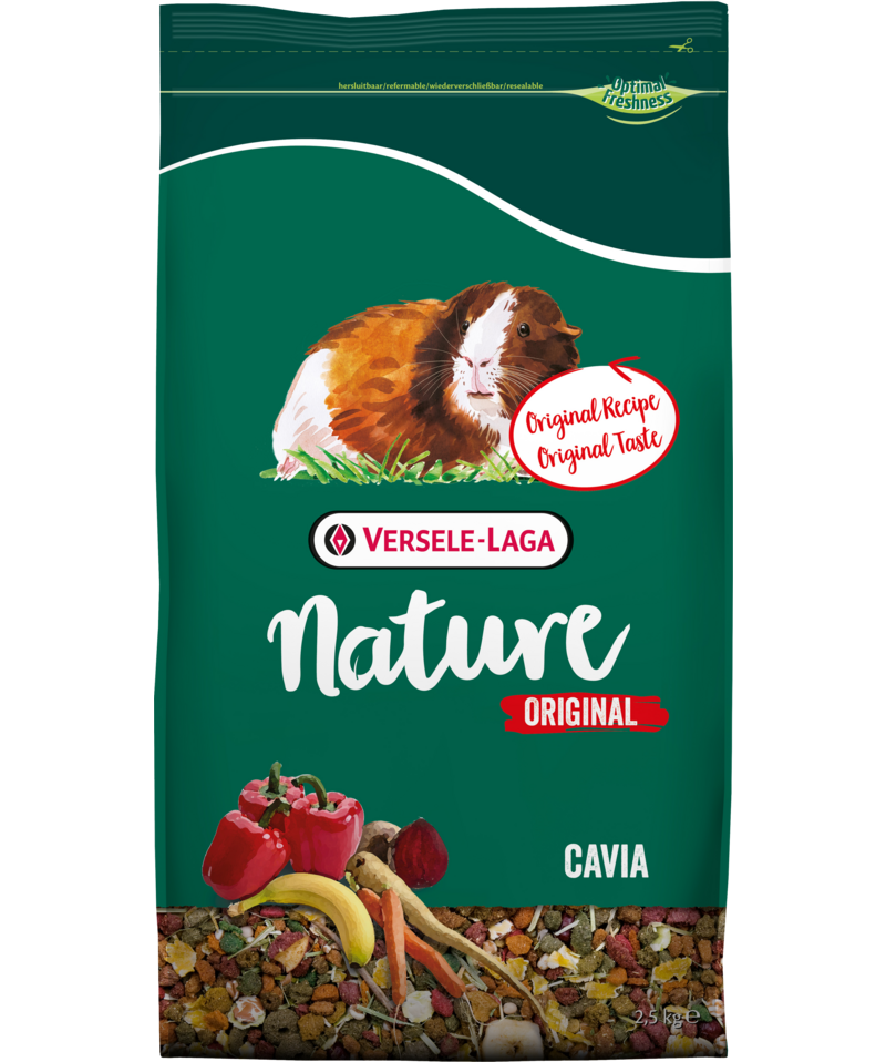 Nature Original Guinea Pig