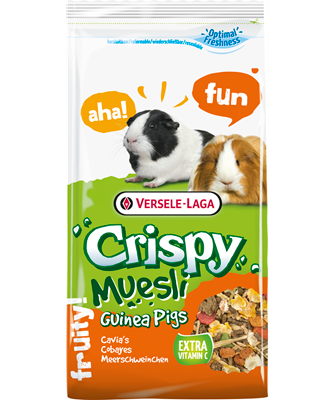 Crispy Muesli - Guinea Pigs