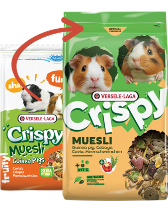 Versele-Laga Muesli - Cochons d'Inde