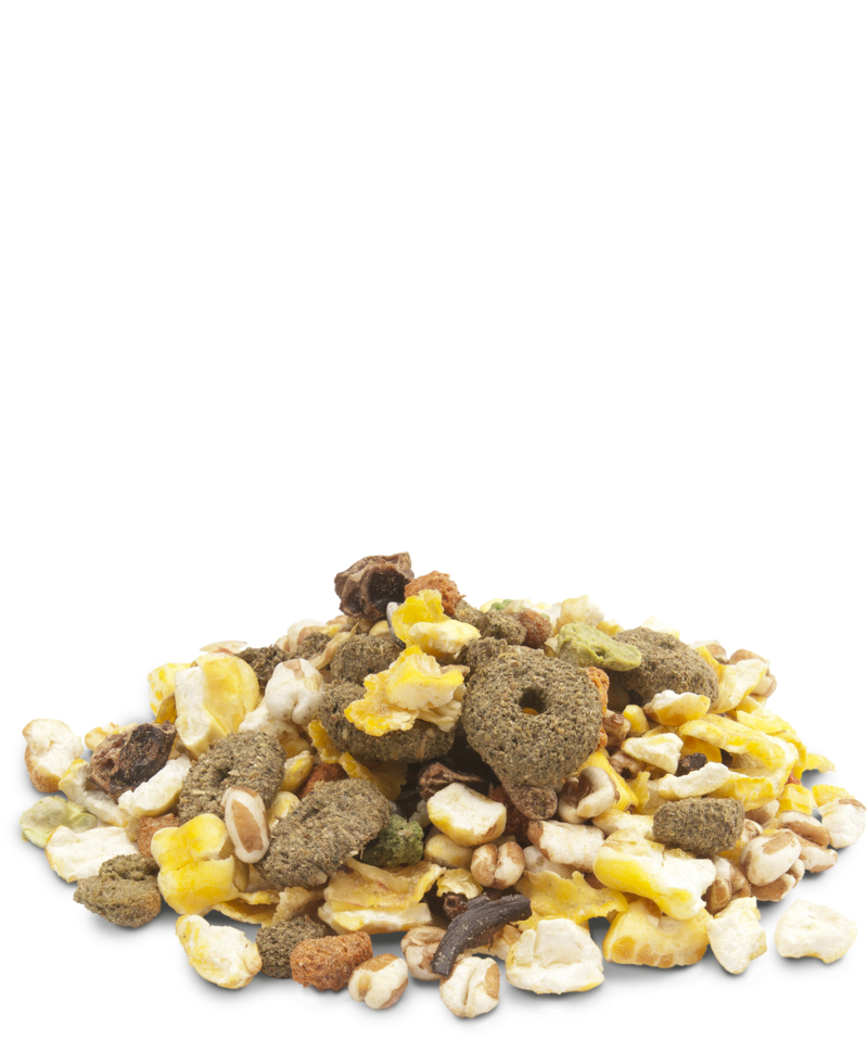 Crispy Snack Popcorn