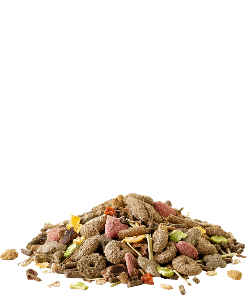 Crispy Muesli Konijn