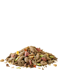 Crispy Muesli Konijn
