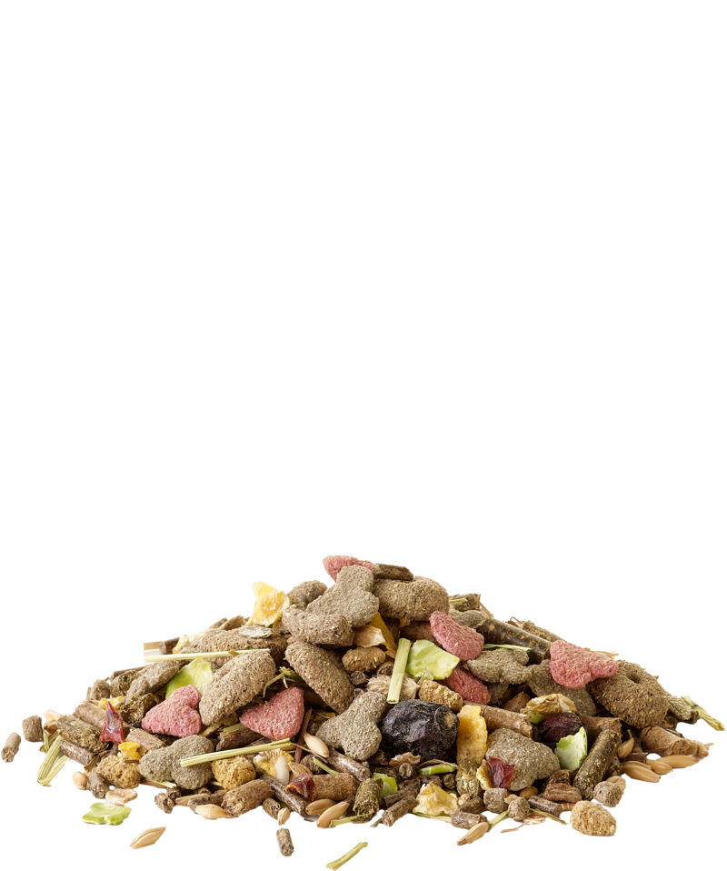 Versele-Laga Muesli - Cochons d'Inde