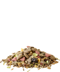 Versele-Laga Muesli - Cochons d'Inde