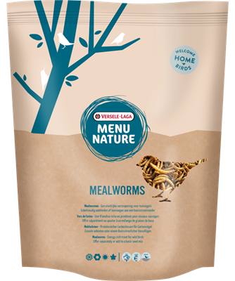 Mealworms 300g