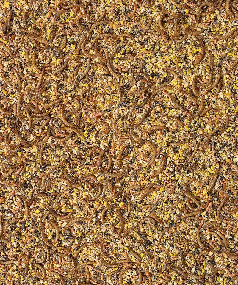 Orlux Opfokvoer voor sierfazanten & sierkwartels 1kg