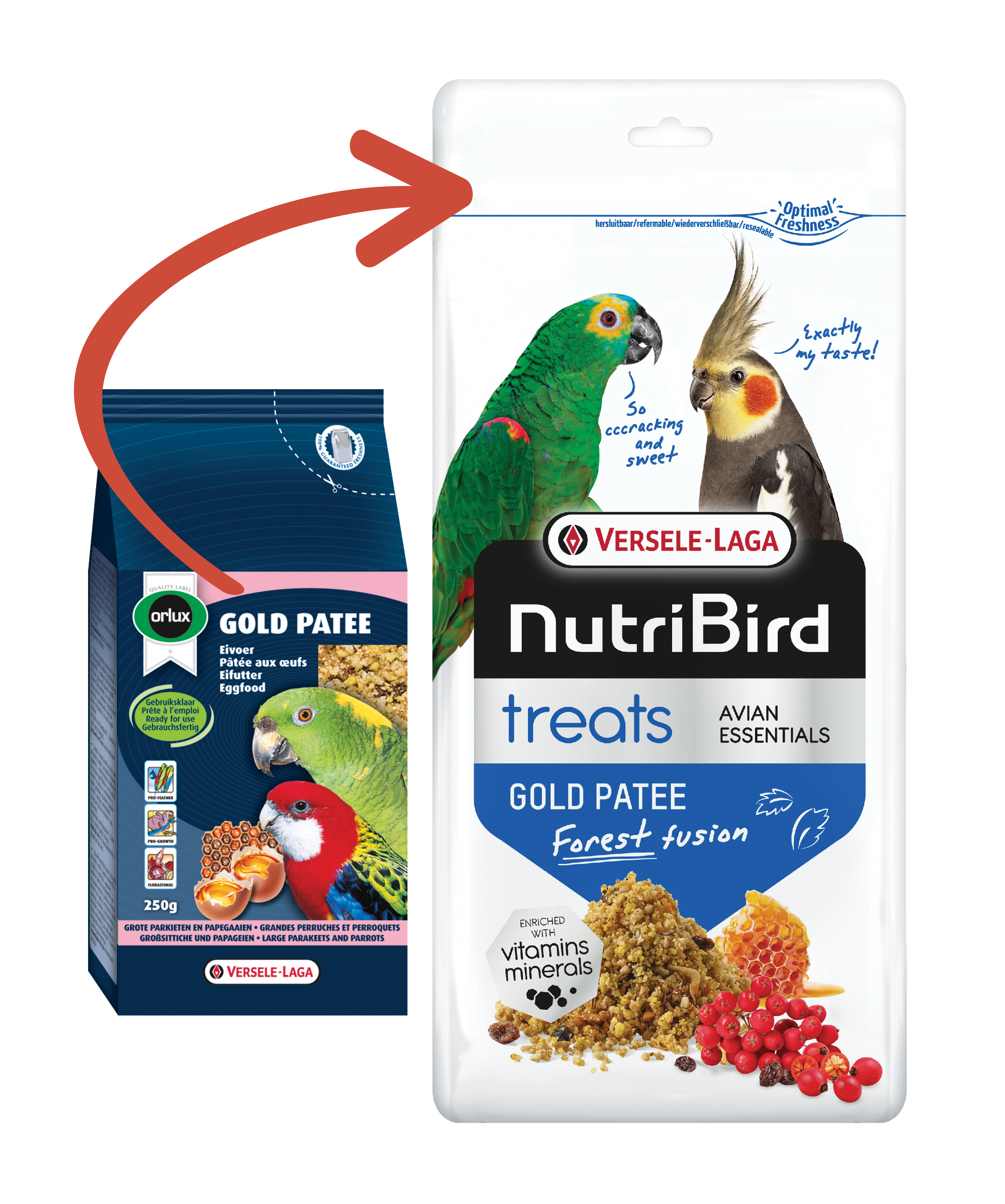 Treats Gold Patee Forest Fusion 250g