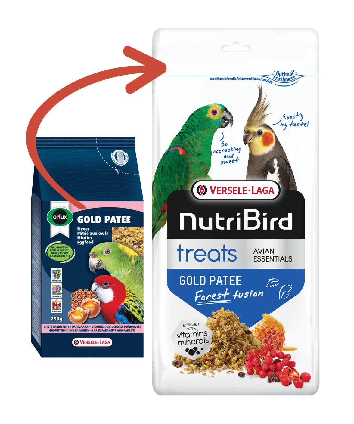 Treats Gold Patee Forest Fusion 250g