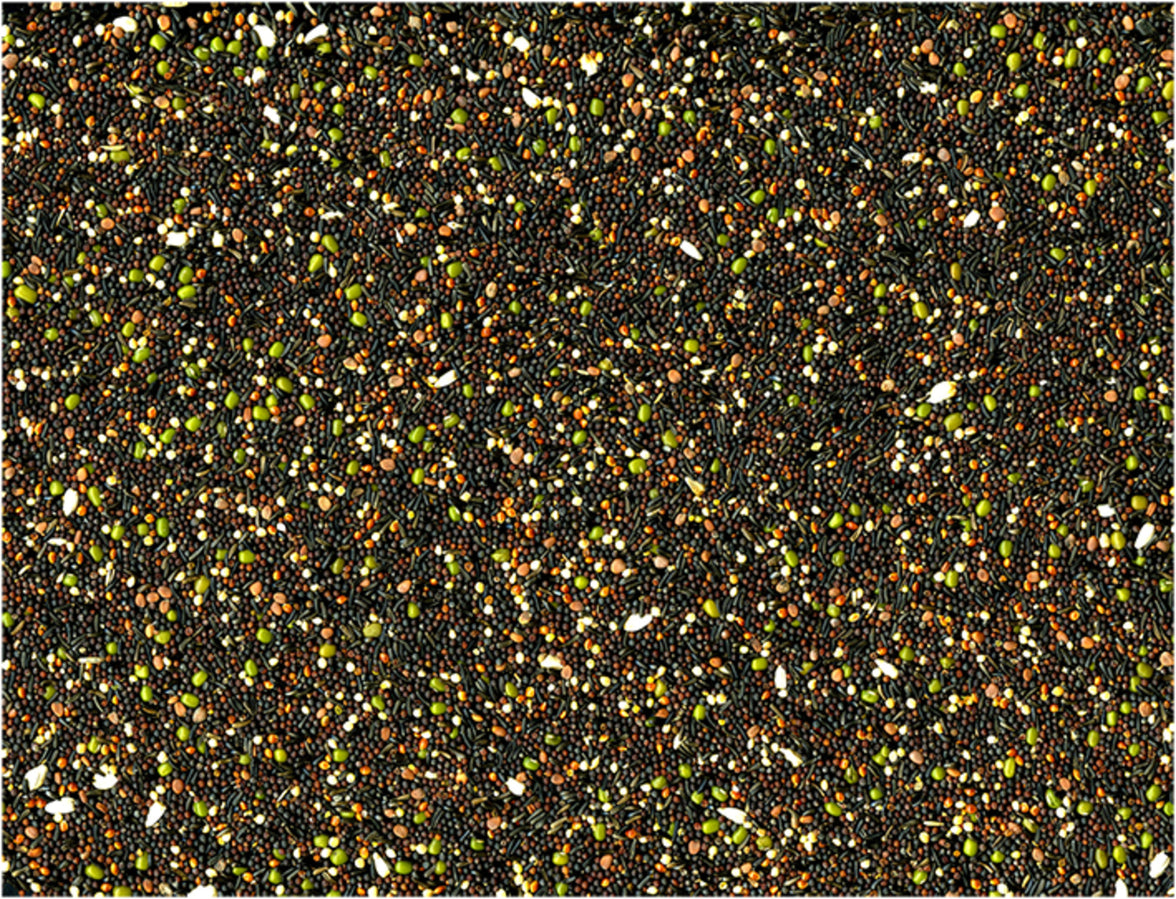 Kiemzaad ORIGINAL 1 kg